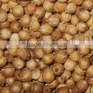 Pure Coriander Oil For Export | 100% Natural Coriander Oil thumbnail-2