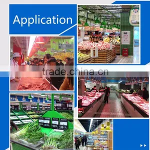 AC220V White Light 20W LED Fresh Meat Lamp thumbnail-6