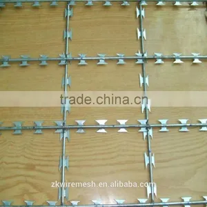 Razor Barbed Wire(factory) thumbnail-4