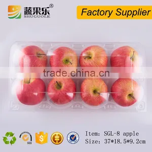 Best Price Plastic Transparent 8 Apple Box thumbnail-5