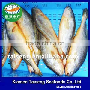 China Origin Frozen Yellow Croaker Fish Maw thumbnail-1