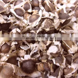 MORINGA SEED FOR AYURVEDIC REMEDY thumbnail-3