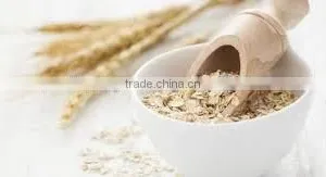 OAT QUICK COOKING FLAKES RICH IN PROTEIN thumbnail-1