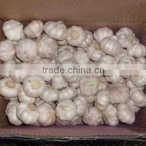 Normal White Garlic in Mesh Bags thumbnail-1