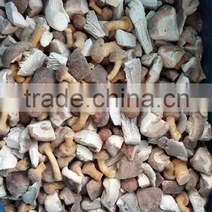 Export Bulk Package Dried Mushroom thumbnail-1