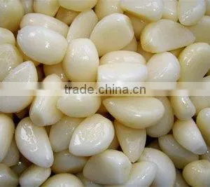 Garlic in Brine thumbnail-1