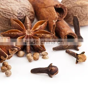Anise Star thumbnail-1