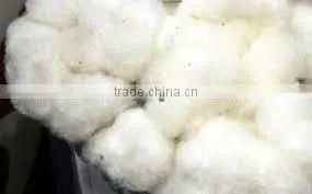 Cotton 100% thumbnail-1
