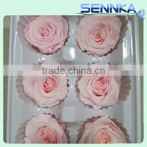 Handcraft Real Natural Colorful Preserved Dried Rose Flower in Gift Box thumbnail-4