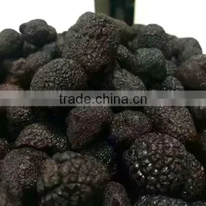 Frozen Truffle thumbnail-3