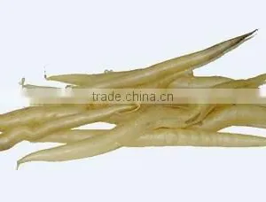 High Quality Dried Fish Maws From Bangladesh thumbnail-1