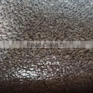 Hulled Sunflower Seeds Price Confectionery Grade&bakery Grade thumbnail-4
