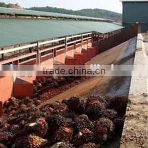 Palm Oil Milling Machine | Small Palm Oil Screw Press Hot in Africa thumbnail-1