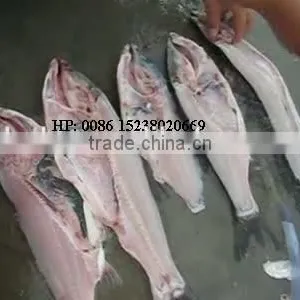 2016 Cheap Price Fish Killing Machine thumbnail-3