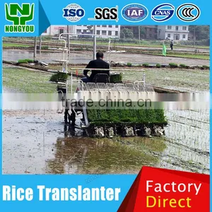 Factory Price Rice Seedling Rice Seedlings Factory Direct Paddy Transplanting Machine High Speed 2Z-6B2 thumbnail-1