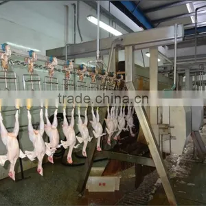 Poultry Slaughterhouse Equipment /abattoir Equipment in China thumbnail-1