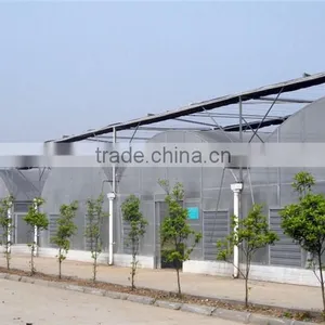 Agricultural Tunnel Arch Greenhouse Price thumbnail-4