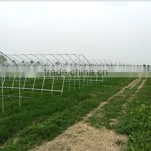 Low Cost Agricultural Greenhouse thumbnail-1