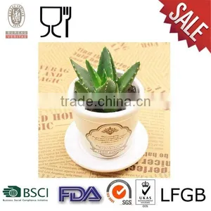 Round Plastic Flower Pot With Different Color thumbnail-1
