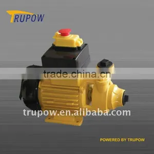 Popular Type Electric Oil Transfer Pump thumbnail-1