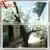 2015 Wholesale Artificia White Wedding Wishing Tree Fake Cherry Blossom Tree Wedding Decor thumbnail-1