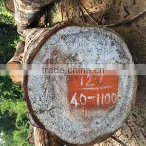 BEST PRICE KEURING LOGS thumbnail-1