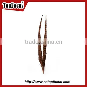 High Quality for Showgirl Carnival Costume Ringneck Tail Pheasant Feathers thumbnail-4