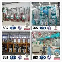 Small Capacity Maize Flour Processing Meal Machine thumbnail-1