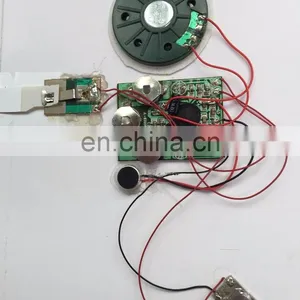 Sound Recording Chip/voice Module/music Device thumbnail-1