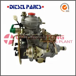 ADS-VE4/12F1900L005 Fuel Feed Pump in Diesel Engine thumbnail-1