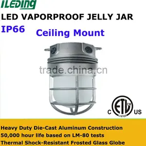 110-277V 12W LED Vaporproof Glass Globe Cast Guard With Ceiling Mount Bracket thumbnail-1