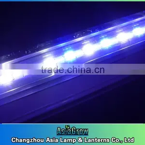 LED Grow Tube White+blue+UV 36w t5 LED thumbnail-2
