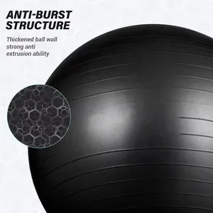 Eco-friendly PVC Anti Burst Heavy Duty Stability Fitness Exercise Yoga Gym Ball With Pump thumbnail-5