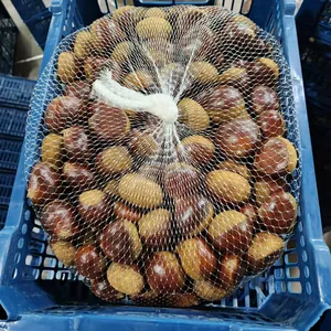 Chestnut Snack Organic Healthy Snack for All Ages thumbnail-5