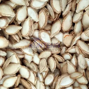 Dryer Machine for Agricultural Seed Sorghum Sunflower Pumpkin Seed Drying Machine Heat Pump Dryer EPC thumbnail-2