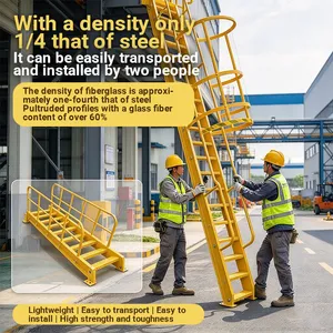 Chemical Resistant GRP Ladder With Safety Cage Insulated Fiberglass Vertical Climb Ladder for Chemical Plant thumbnail-3