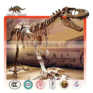 Fiberglass Allosaurus Dinosaur Fossil Replica for Amusement Park thumbnail-1
