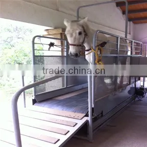 Horse Running Machine Horse Treadmill thumbnail-1