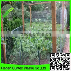 uv Coated Garden Plastic Mesh Tomato Climbing Net thumbnail-5