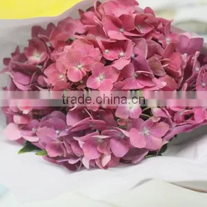 Fresh Hot Sale European Style Flower Hydrangea thumbnail-3