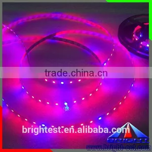 12v Led Waterproof Rope Light,Outdoor Plant Grow Led Lighting,Led Strip Grow Plant thumbnail-4
