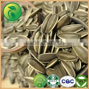 Sunflower Seeds Top Crop for Human Consumption thumbnail-3