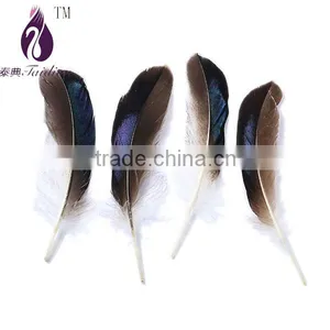 Chicken Feather for Party Decoration, thumbnail-1