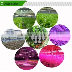 2016 Hot Sale 360w Hydroponics Grow Kit Cheap 300w Hydroponic Grow Light for Hydroponics Greenhouse thumbnail-6