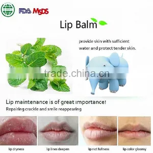 Hot Product Lip Balm, Fruit Flavors Lip Care Container, Wholesale thumbnail-1