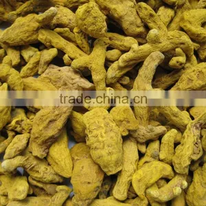 Organic Turmeric Finger thumbnail-4