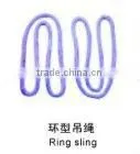 High Strength Endless Webbing Sling thumbnail-1