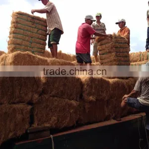 Coconut Fiber 2016 (qq : 2598494113) thumbnail-5