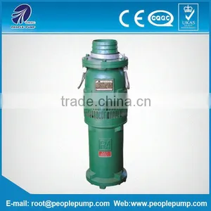 Your Best Partner in the Field QY Series Oil-filled Submersible Pump thumbnail-1