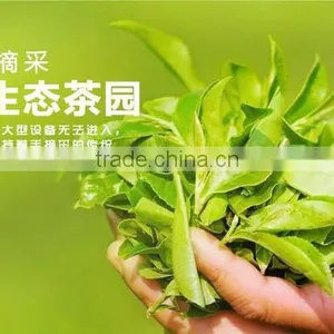 36pcs Different Kinds Flavors Chinese Yunnan Puer Tea pu er Tea Bag Gift Puerh Tea Food Weight Loss Tea thumbnail-6